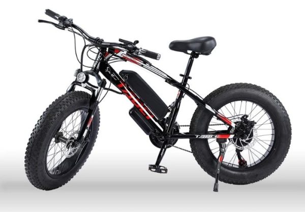 Xe Đạp Điện Bánh Béo TAOCI 7