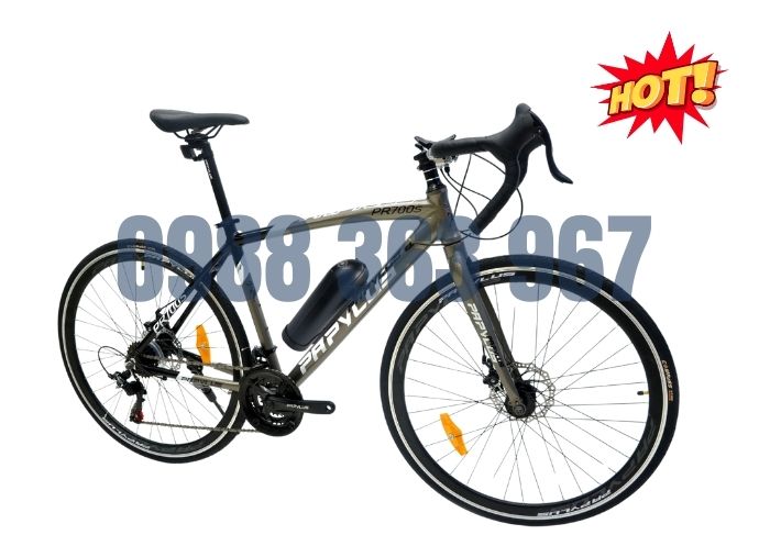 Xe Đạp Thể Thao Papylus PR700s 1
