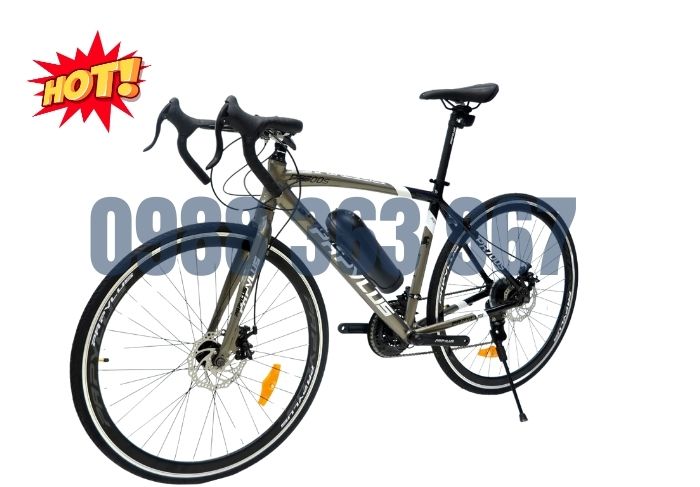 Xe Đạp Thể Thao Papylus PR700s 2