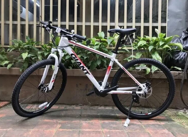xe đạp giant nhật bãi
