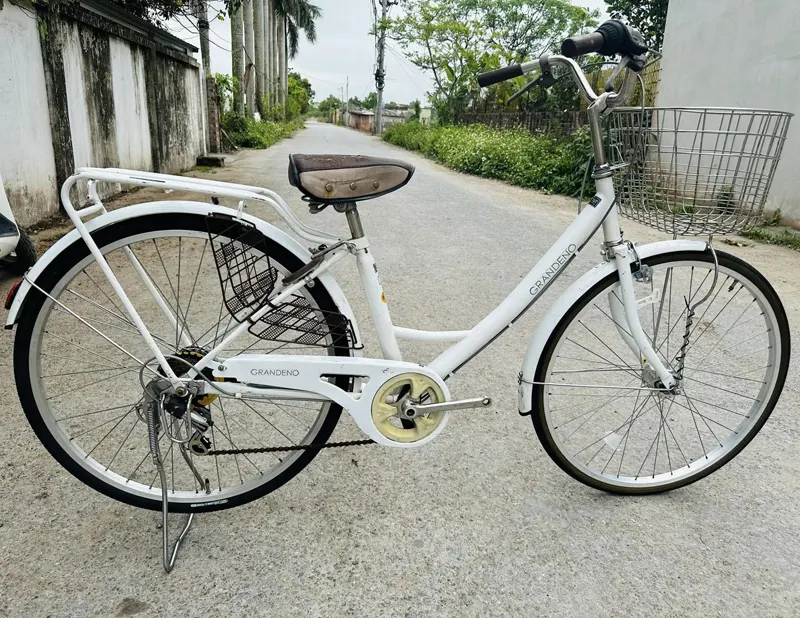 xe dap mini nhat bai 32