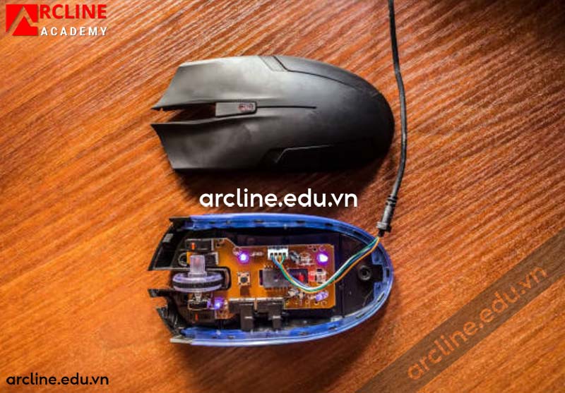 chuột bị hỏng con lăn